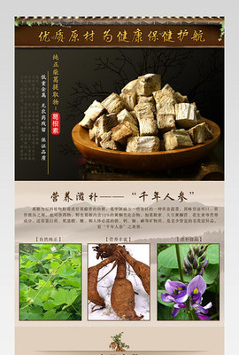中药成药药材详情模板