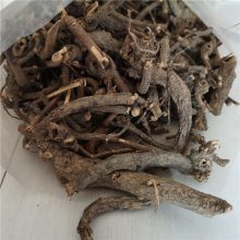 黄芽大戟 功效、价格与成药应用