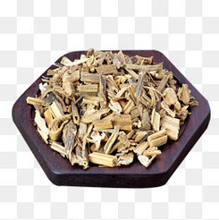 中药材的形态与辨识