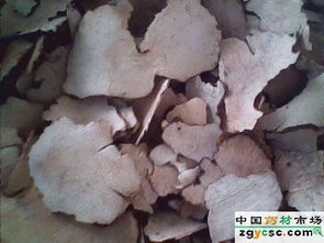 海翔中药 专注放射性药品供应，助力精准医疗发展