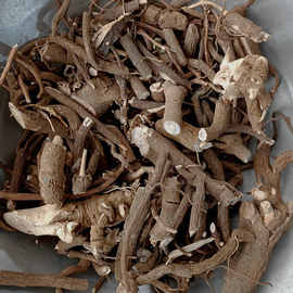 金龙药材 中药成药的品质传承与现代化发展